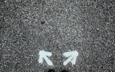 A Moment of Reflection