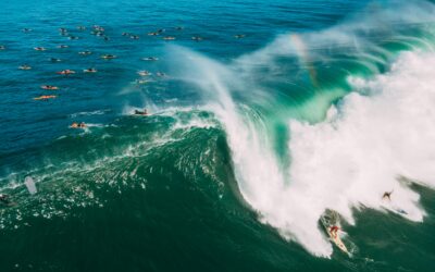 The Ebb and Flow of Life